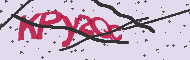 Captcha認証コード